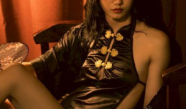 图片区小说区视频区,畅游小说与视频的奇幻之旅